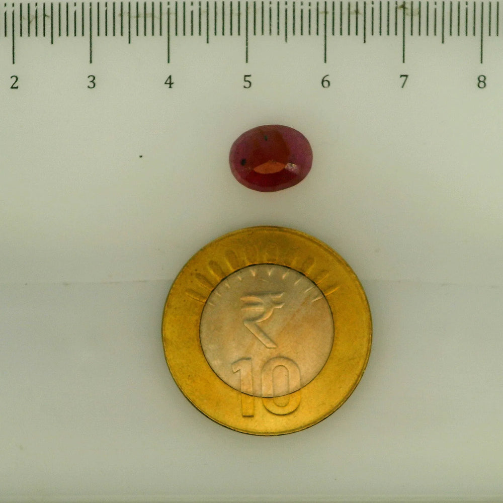 ITLGR_112895_SCALE.webp