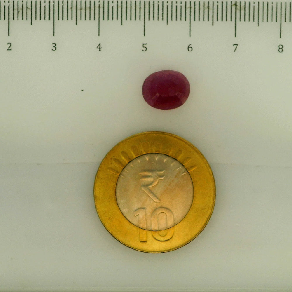 ITLGR_112899_SCALE.webp