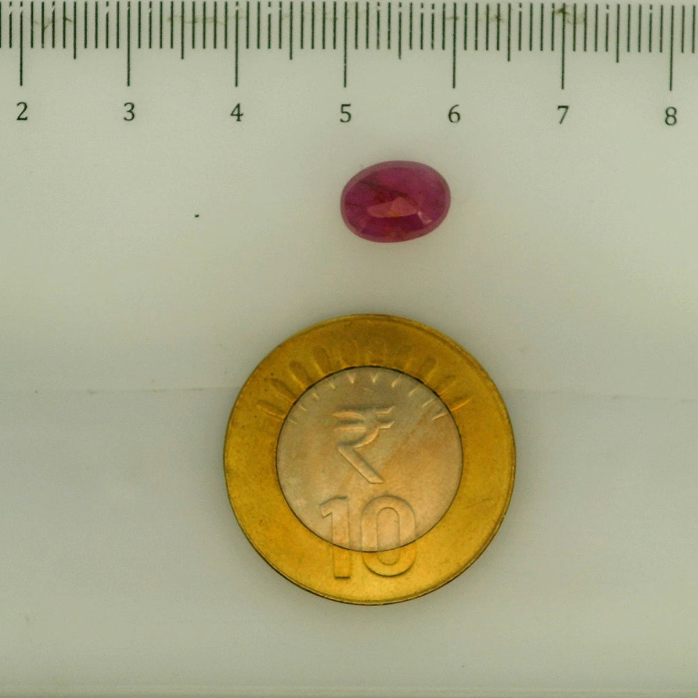 ITLGR_112901_SCALE.webp