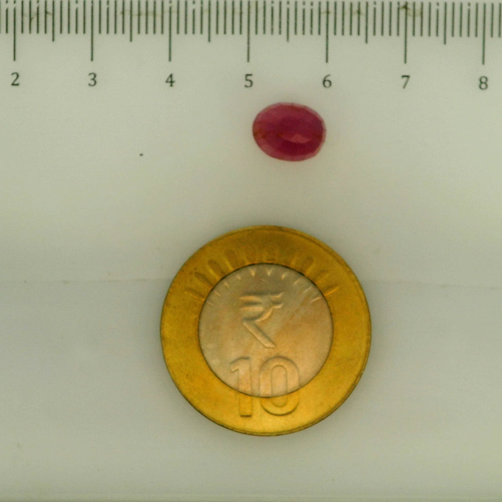 ITLGR_112908_SCALE.webp
