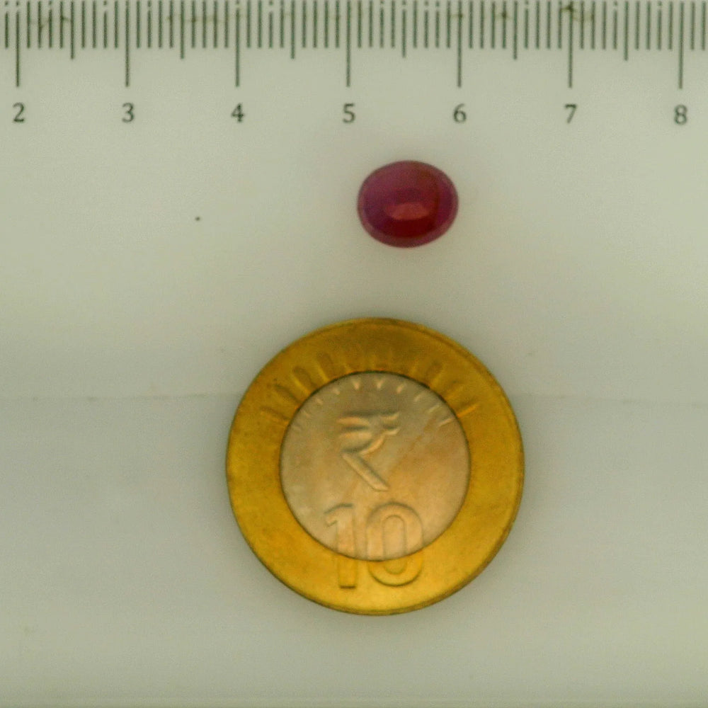 ITLGR_112911_SCALE.webp