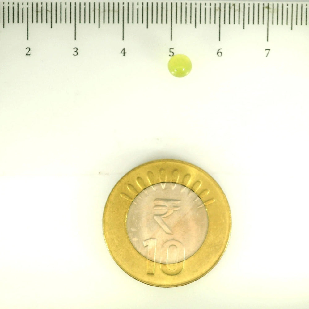 ITLGR_113135_SCALE.webp