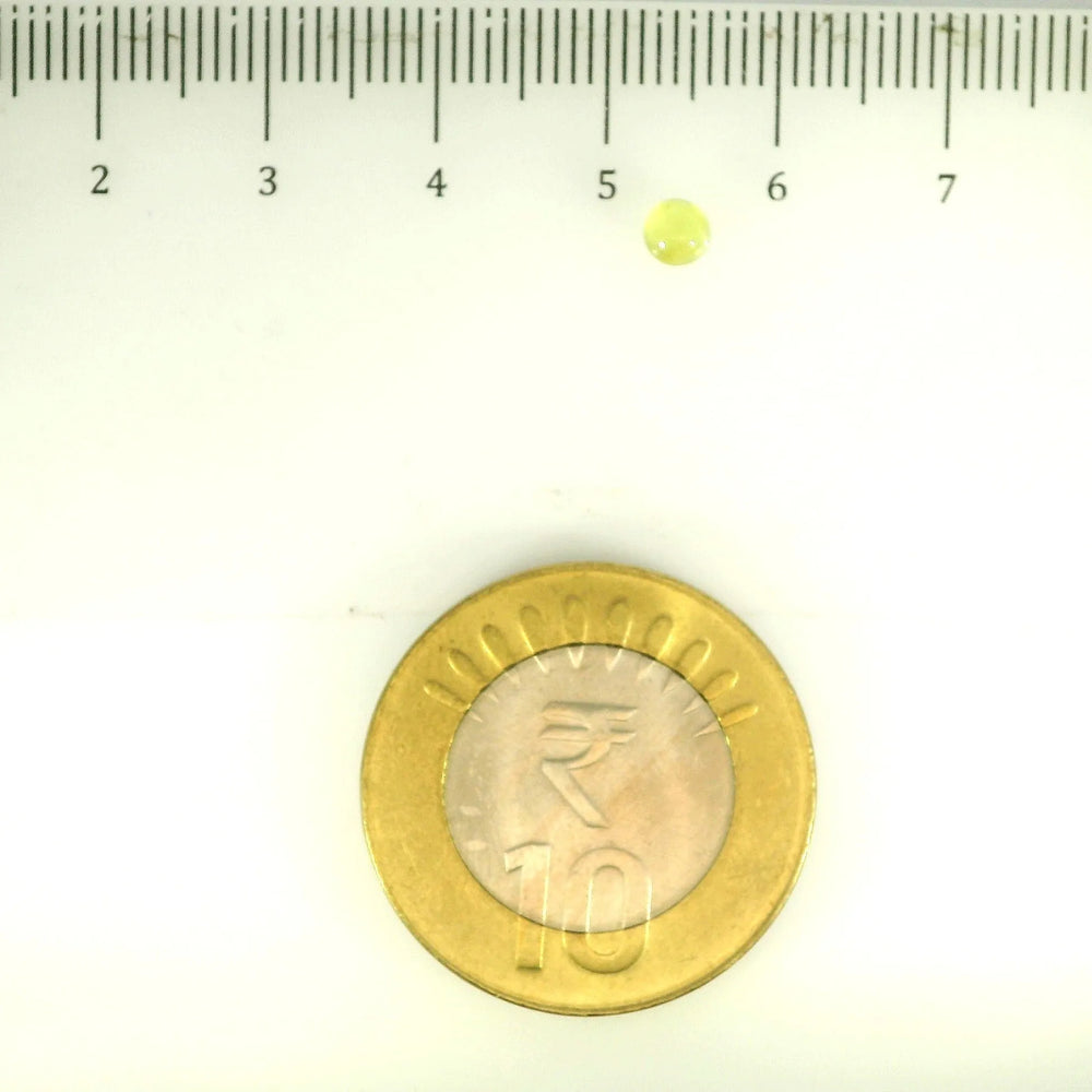 ITLGR_113139_SCALE.webp