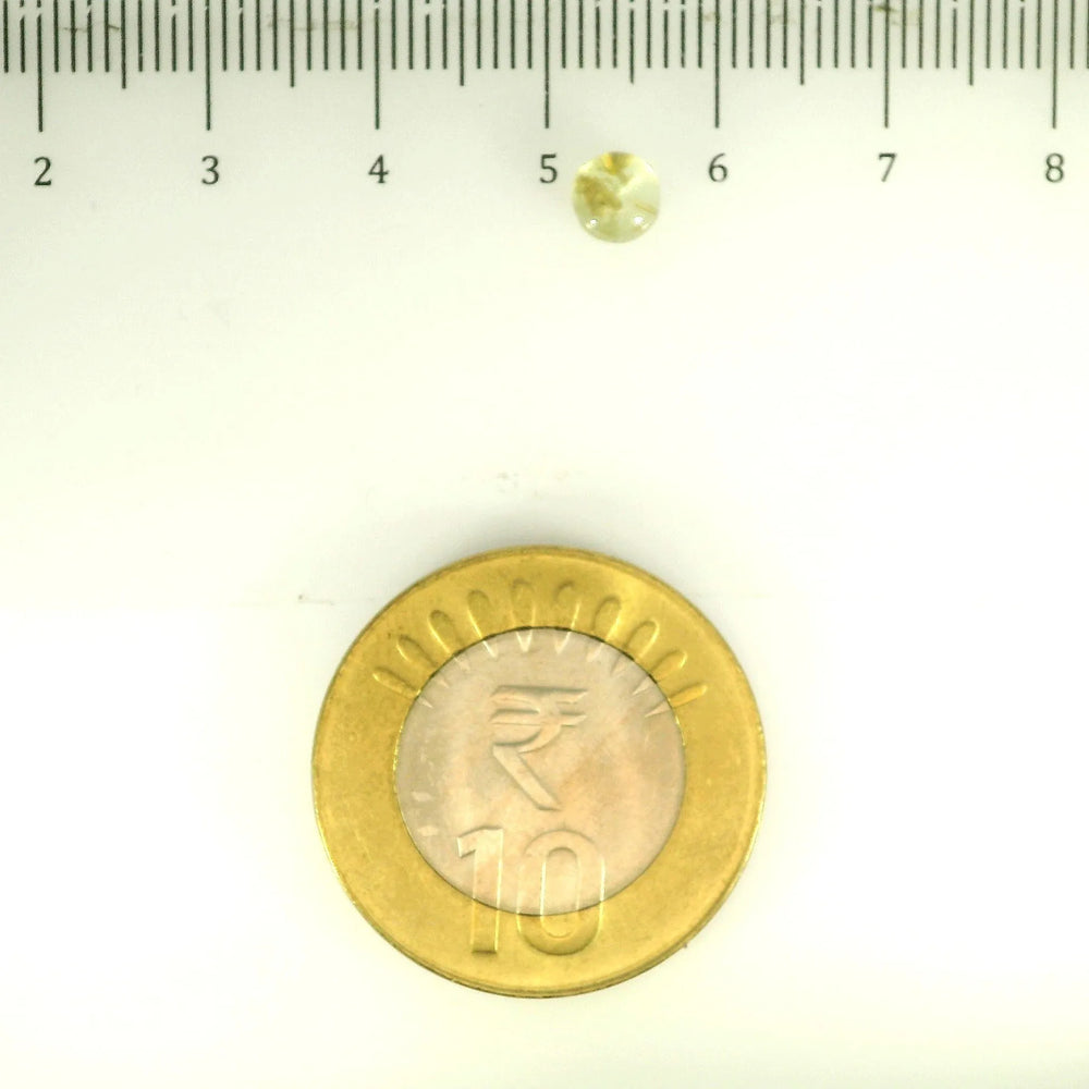 ITLGR_113143_SCALE.webp