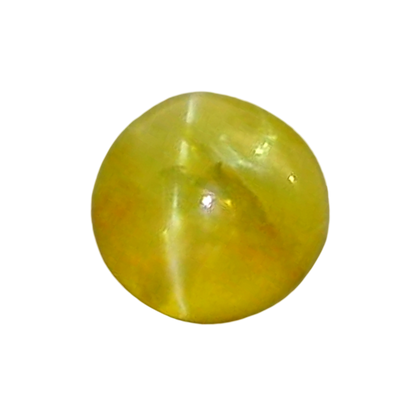 ITLGR_113166_FRONT.png