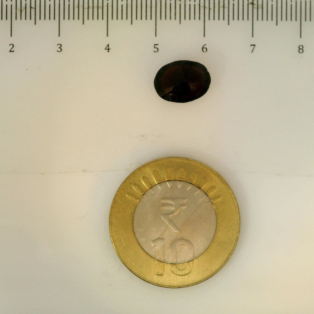 ITLGR_113186_SCALE.webp