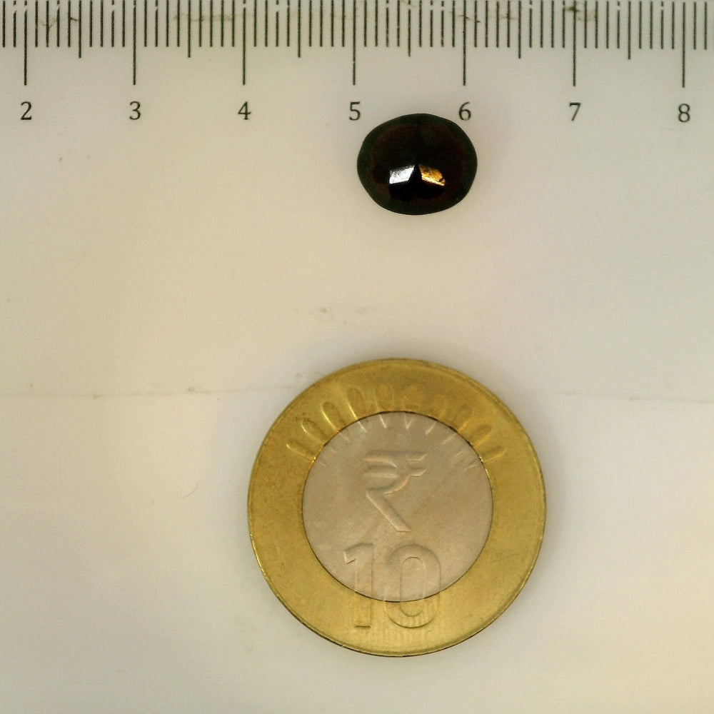 ITLGR_113189_SCALE.webp