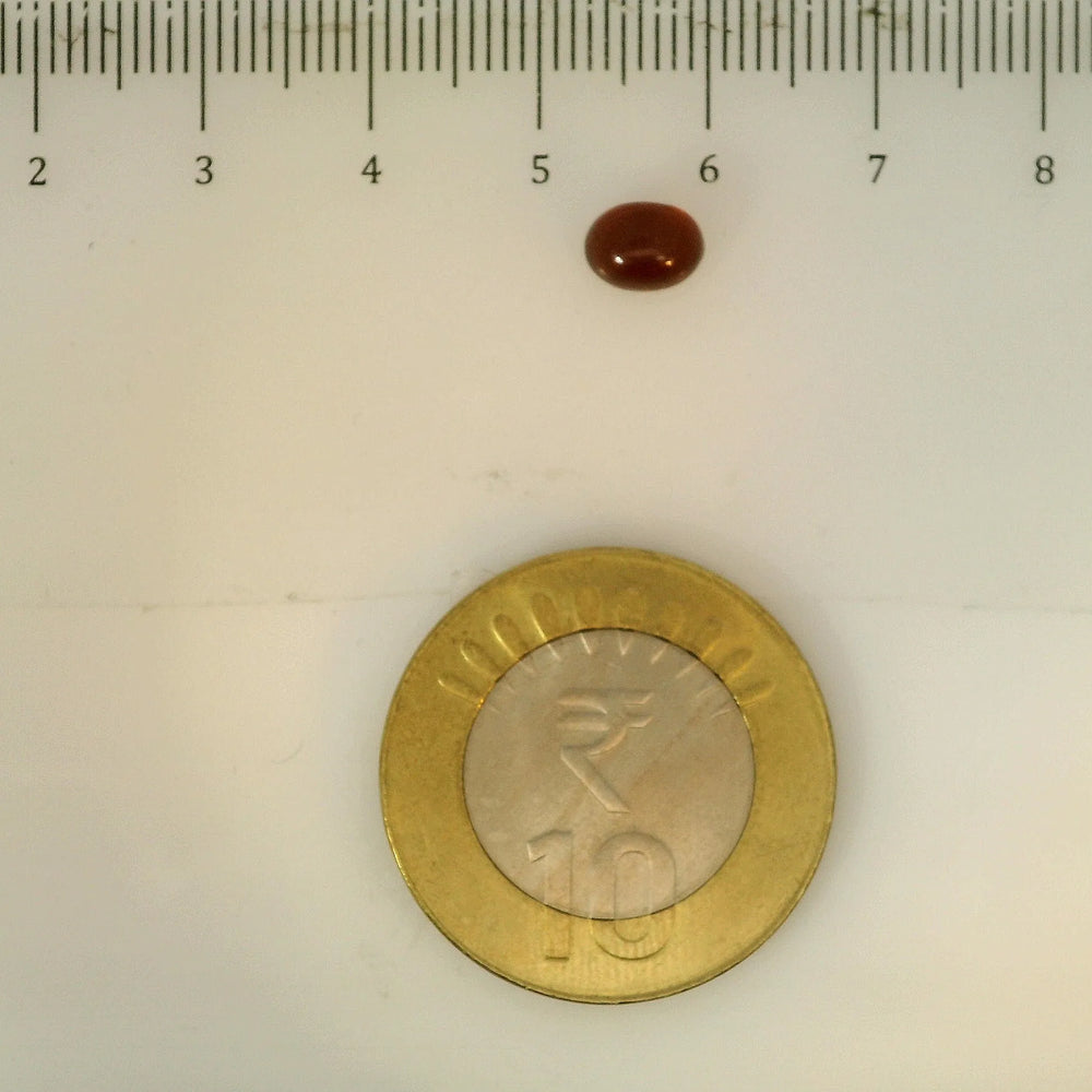 ITLGR_113264_SCALE.webp