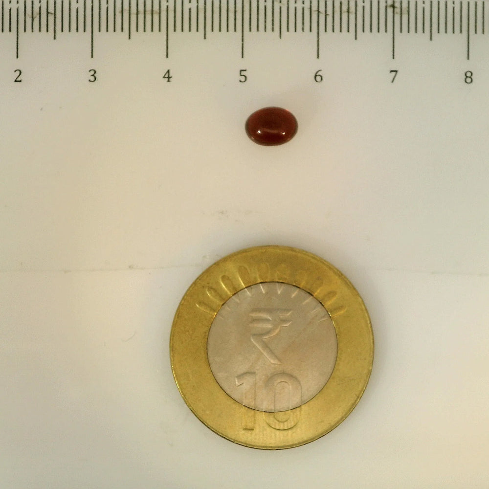 ITLGR_113265_SCALE.webp