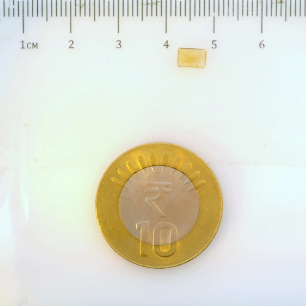 ITLGR_113312_SCALE.webp