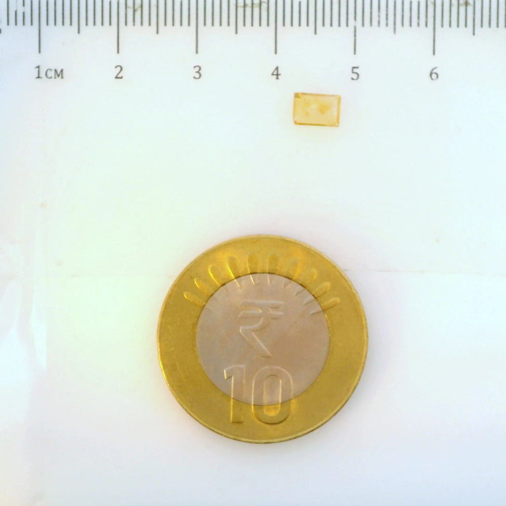 ITLGR_113316_SCALE.webp