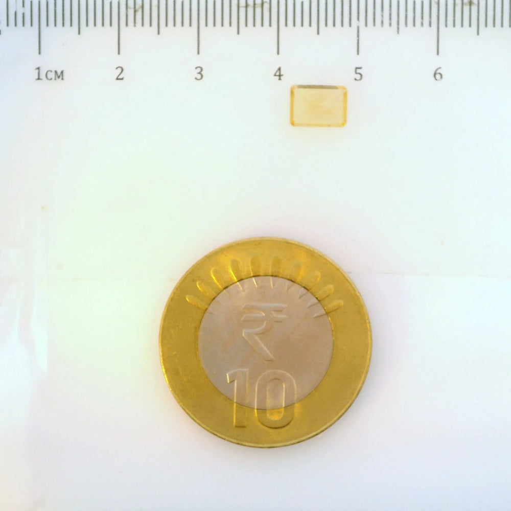 ITLGR_113319_SCALE.webp
