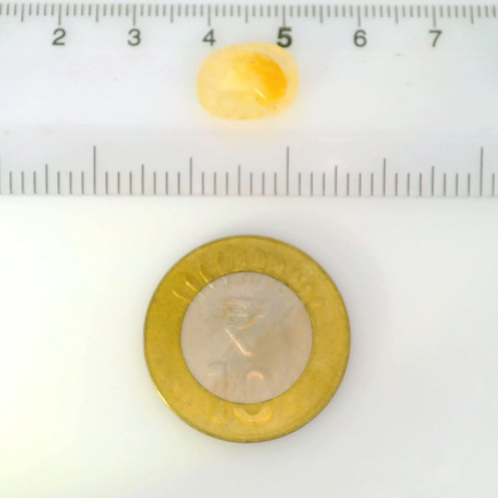 ITLGR_121102_SCALE.webp