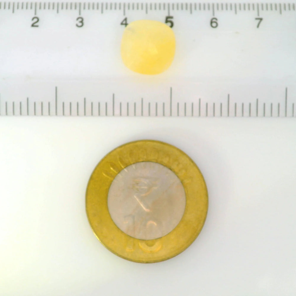 ITLGR_121106_SCALE.webp