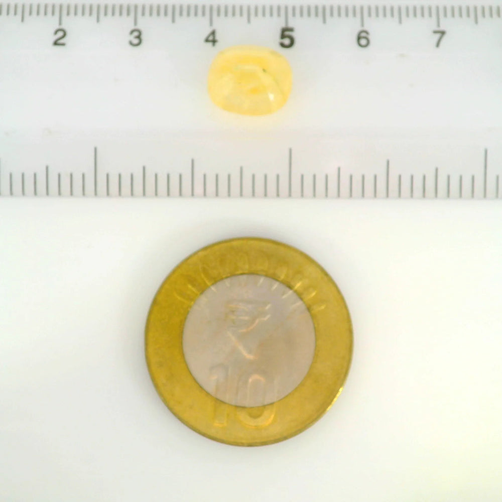 ITLGR_121109_SCALE.webp