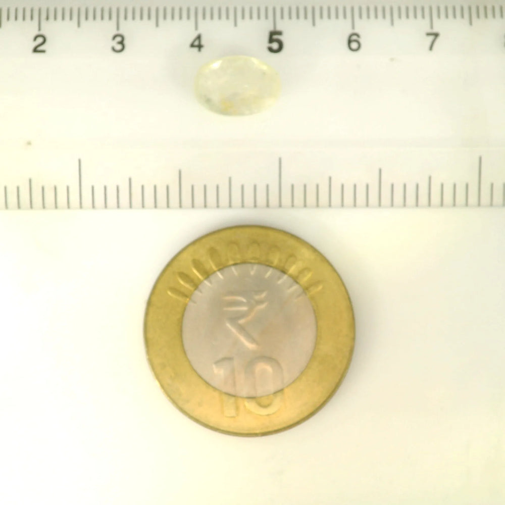 ITLGR_121188_SCALE.webp