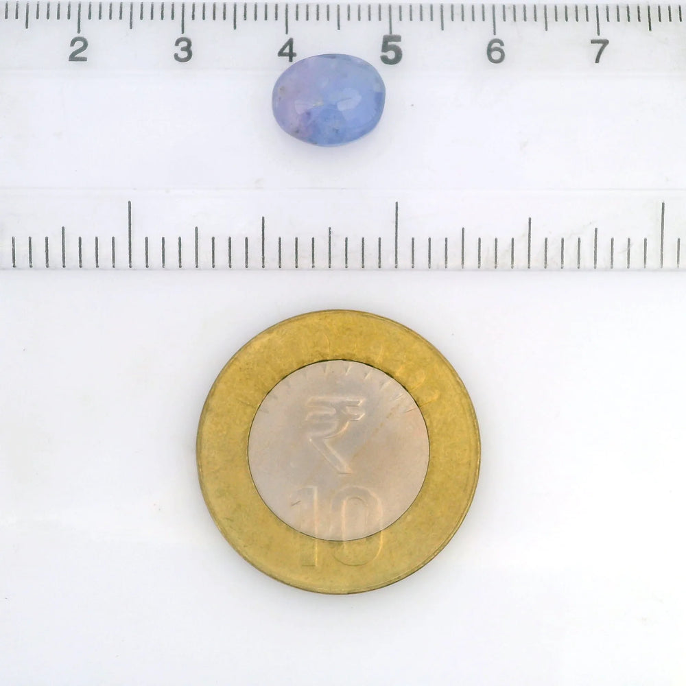 ITLGR_121229_SCALE.webp