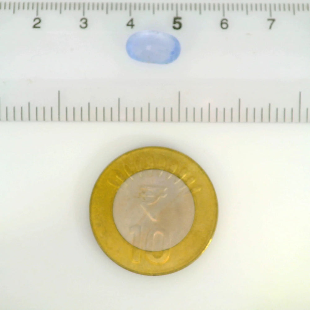 ITLGR_121232_SCALE.webp