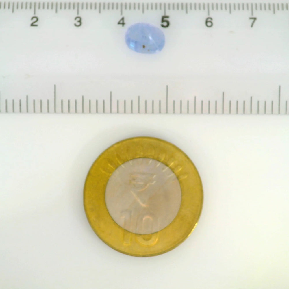ITLGR_121233_SCALE.webp