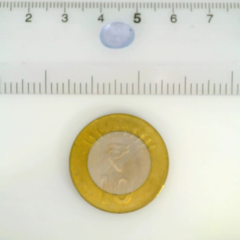ITLGR_121234_SCALE.webp