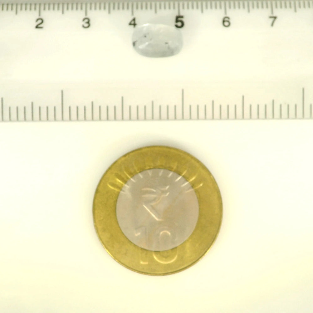 ITLGR_121240_SCALE.webp
