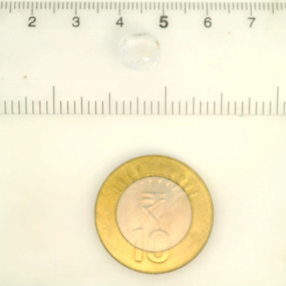 ITLGR_121241_SCALE.webp