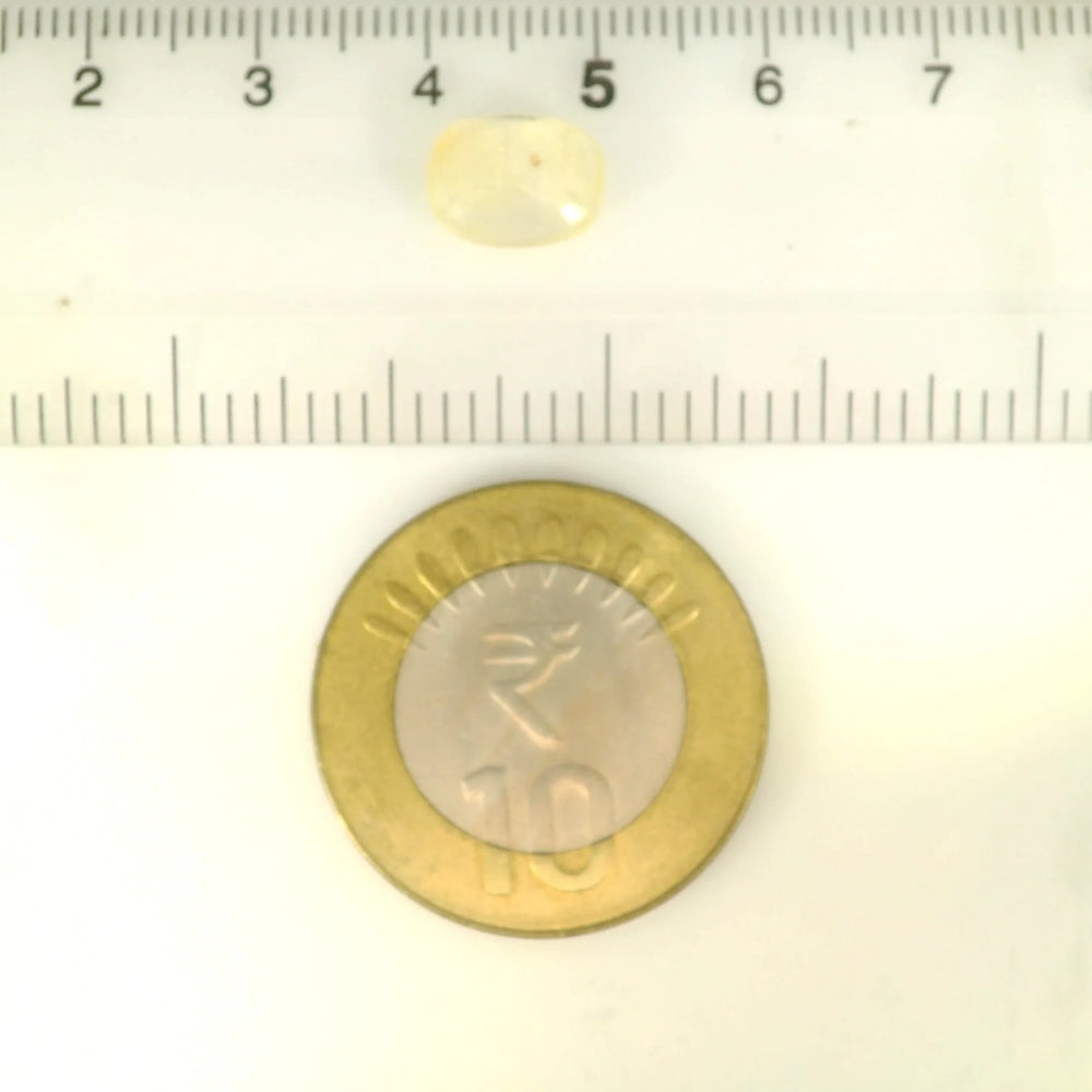 ITLGR_121263_SCALE.webp