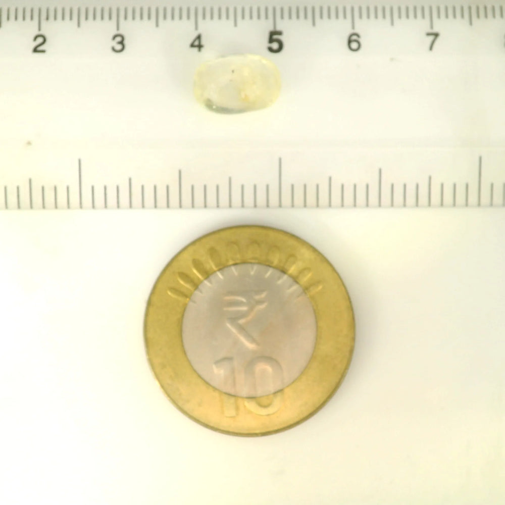 ITLGR_121264_SCALE.webp