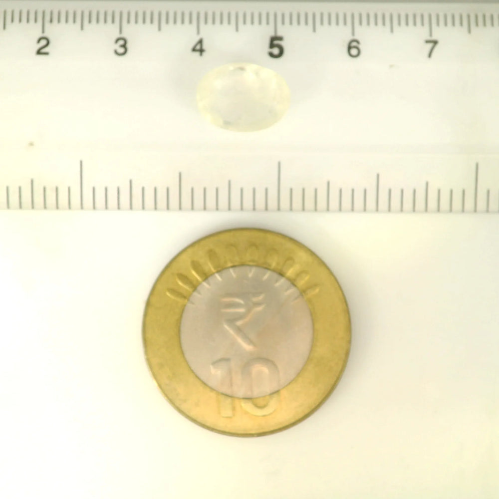 ITLGR_121282_SCALE.webp