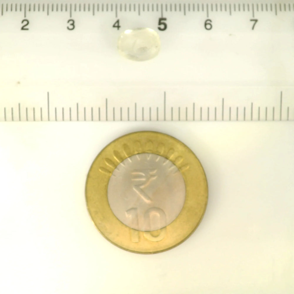 ITLGR_121287_SCALE.webp