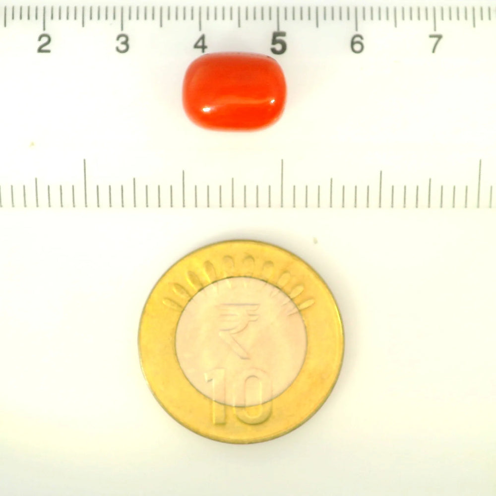 ITLGR_121328_SCALE.webp