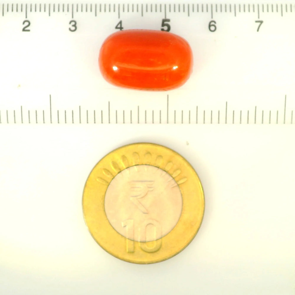 ITLGR_121330_SCALE.webp