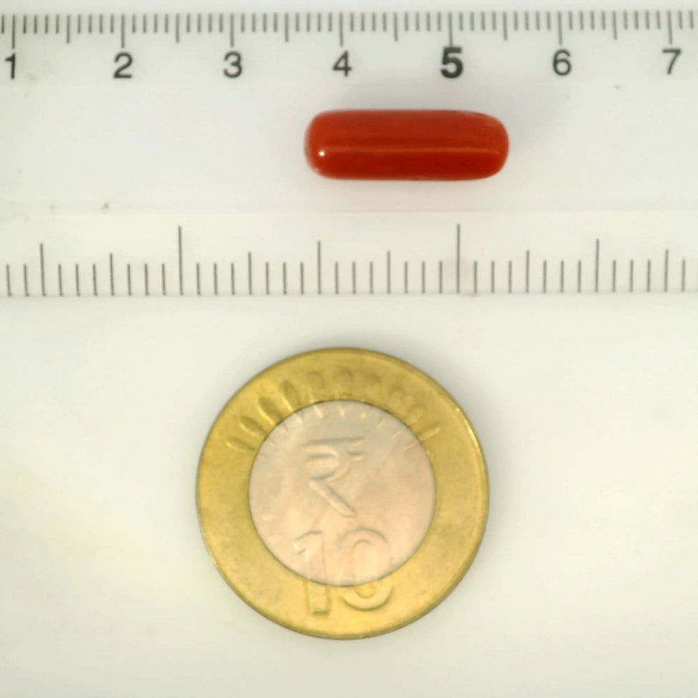 ITLGR_121332_SCALE.webp