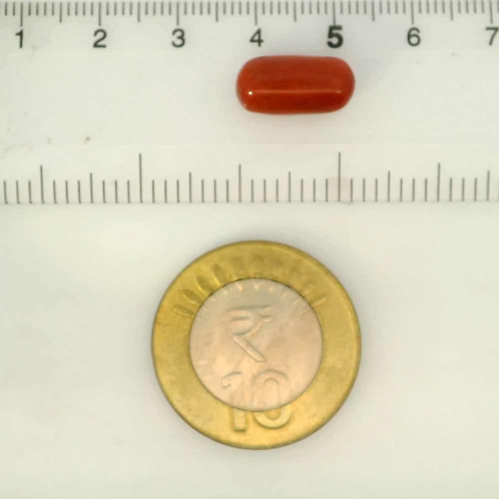 ITLGR_121335_SCALE.webp
