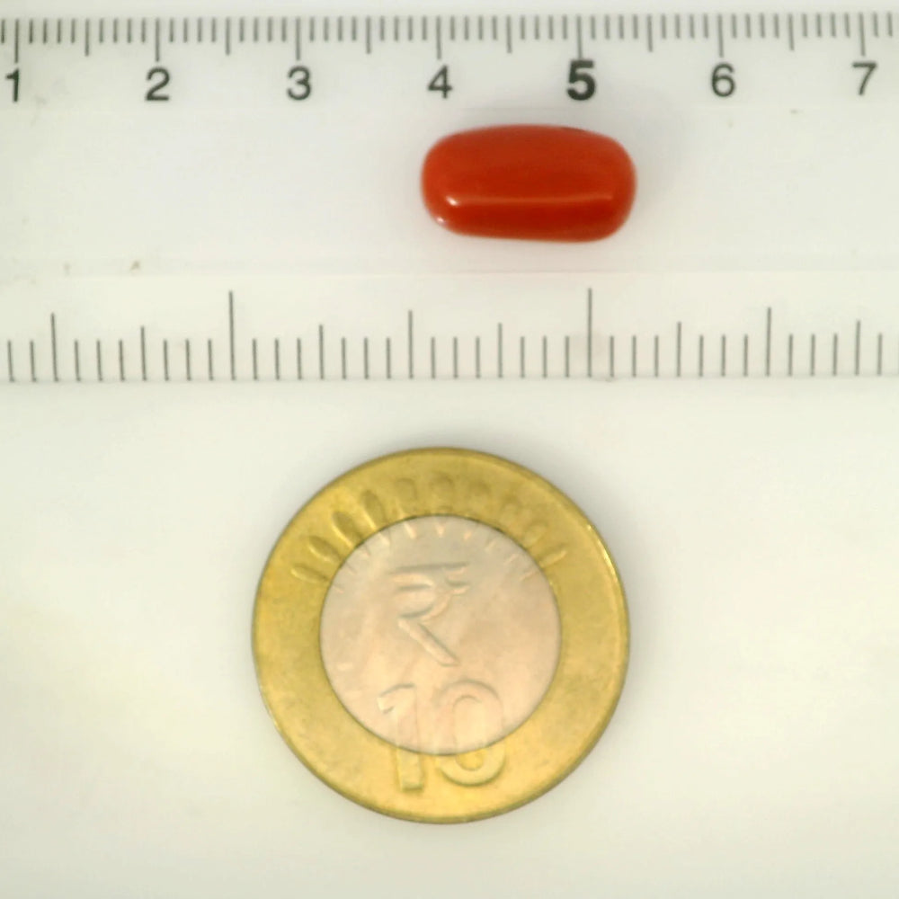 ITLGR_121338_SCALE.webp