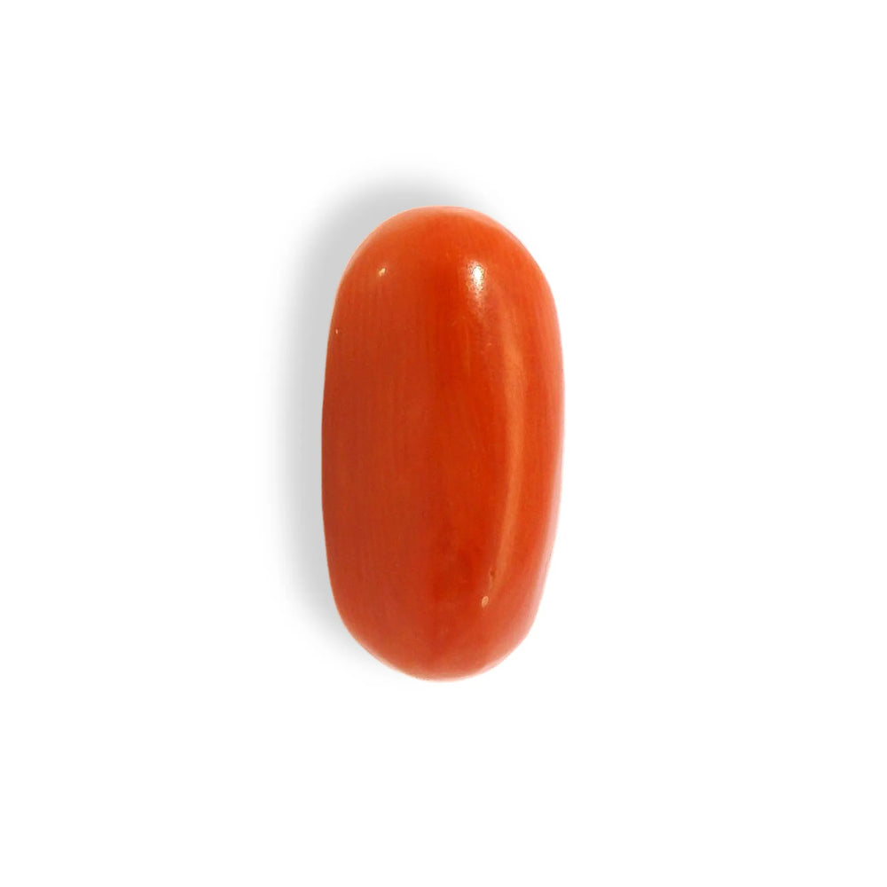 ITLGR_121341_TOP.webp