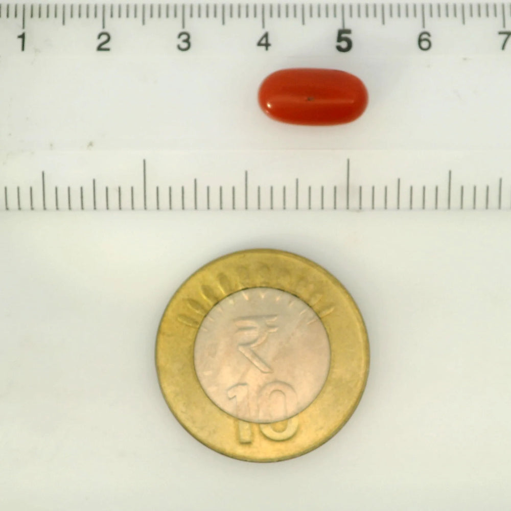 ITLGR_121342_SCALE.webp