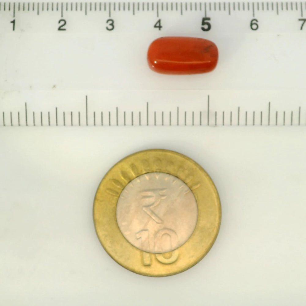 ITLGR_121343_SCALE.webp