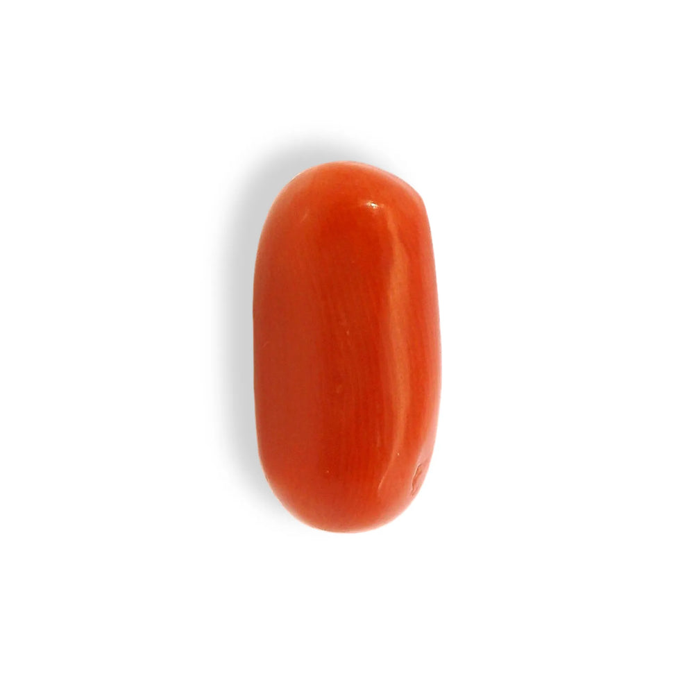 ITLGR_121344_TOP.webp