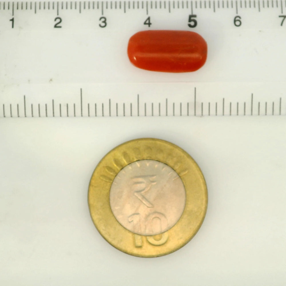 ITLGR_121345_SCALE.webp