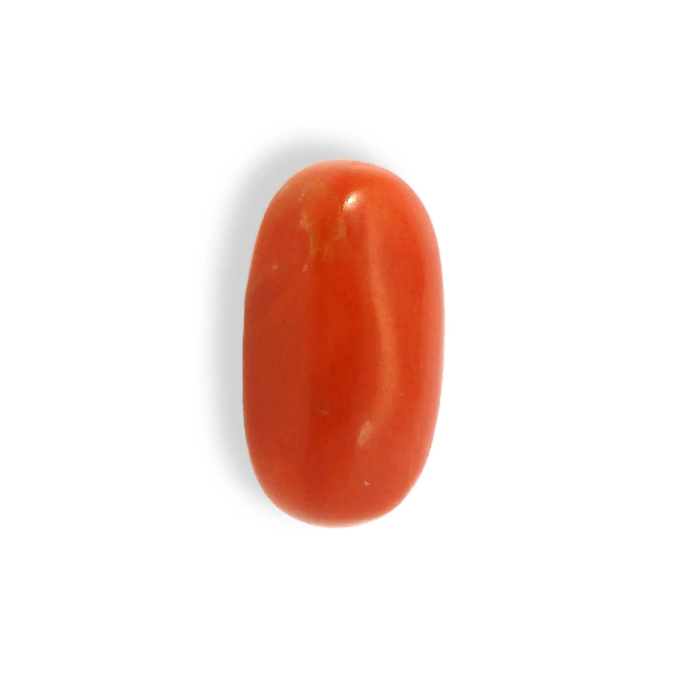 ITLGR_121347_TOP.webp
