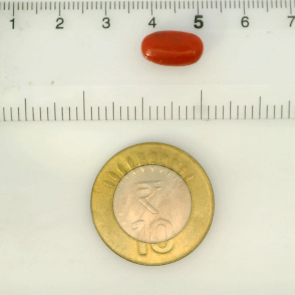 ITLGR_121348_SCALE.webp