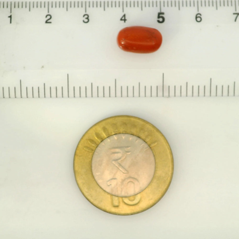 ITLGR_121349_SCALE.webp