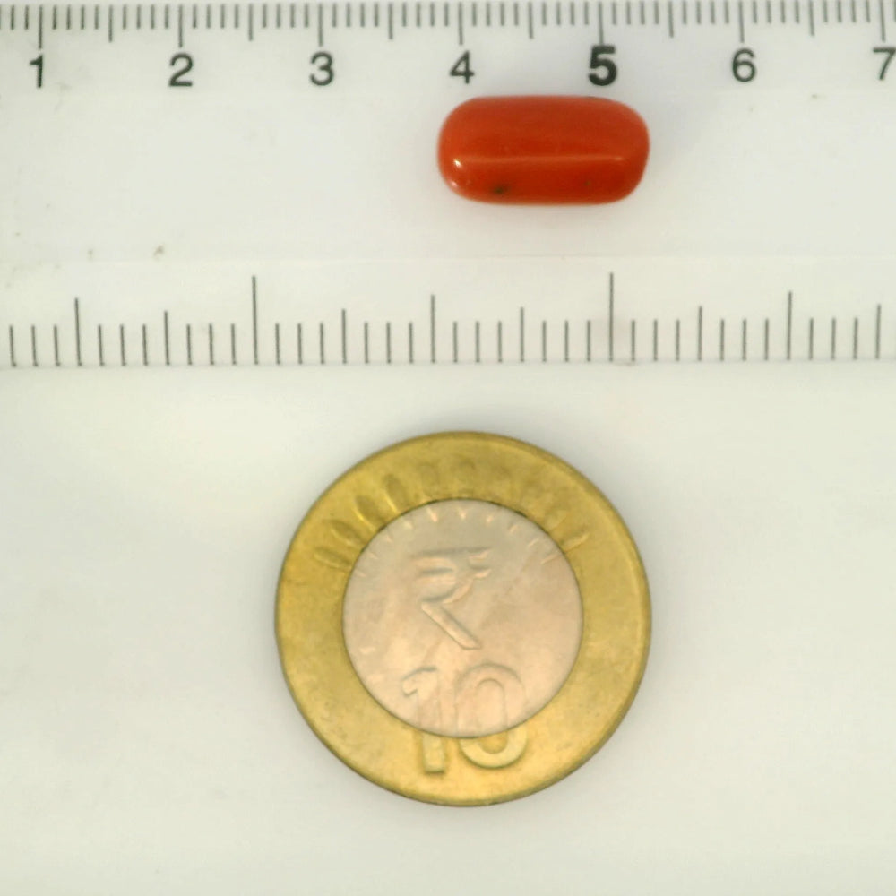 ITLGR_121350_SCALE.webp