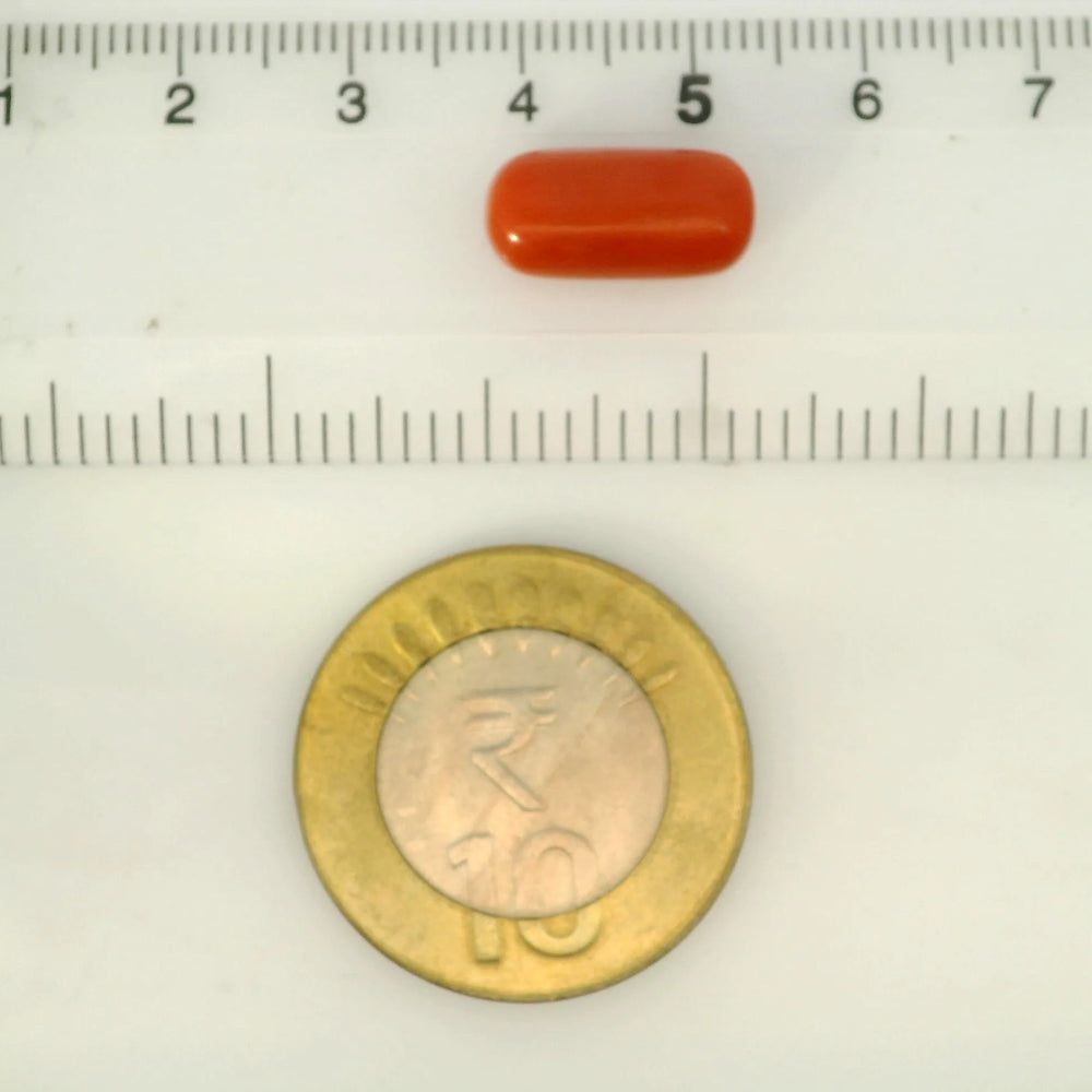 ITLGR_121351_SCALE.webp