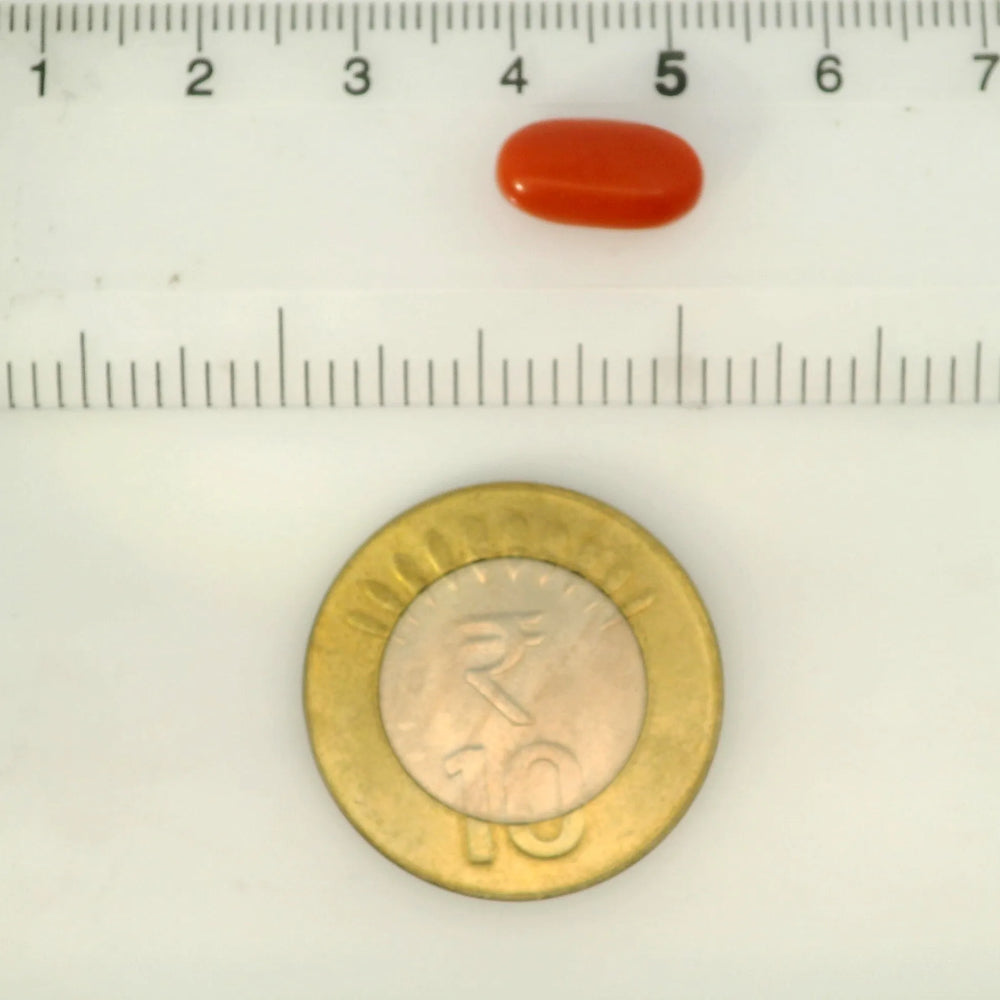 ITLGR_121353_SCALE.webp