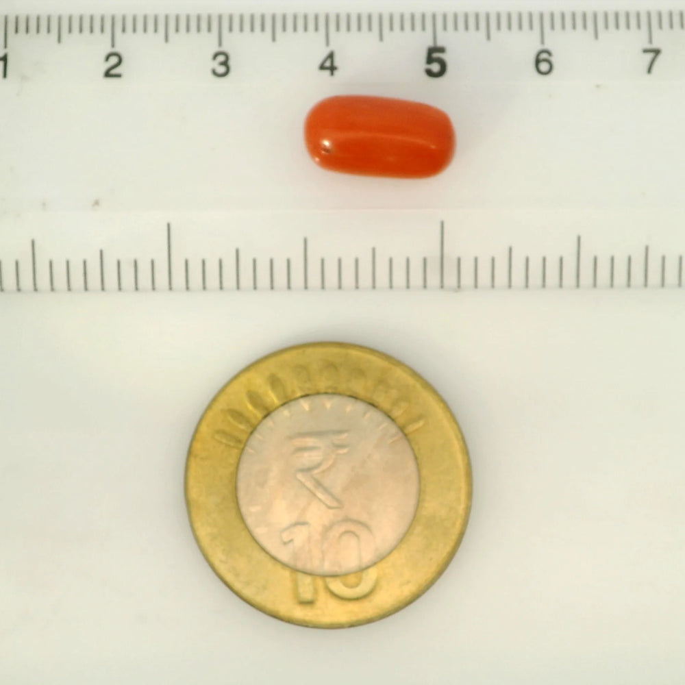 ITLGR_121356_SCALE.webp