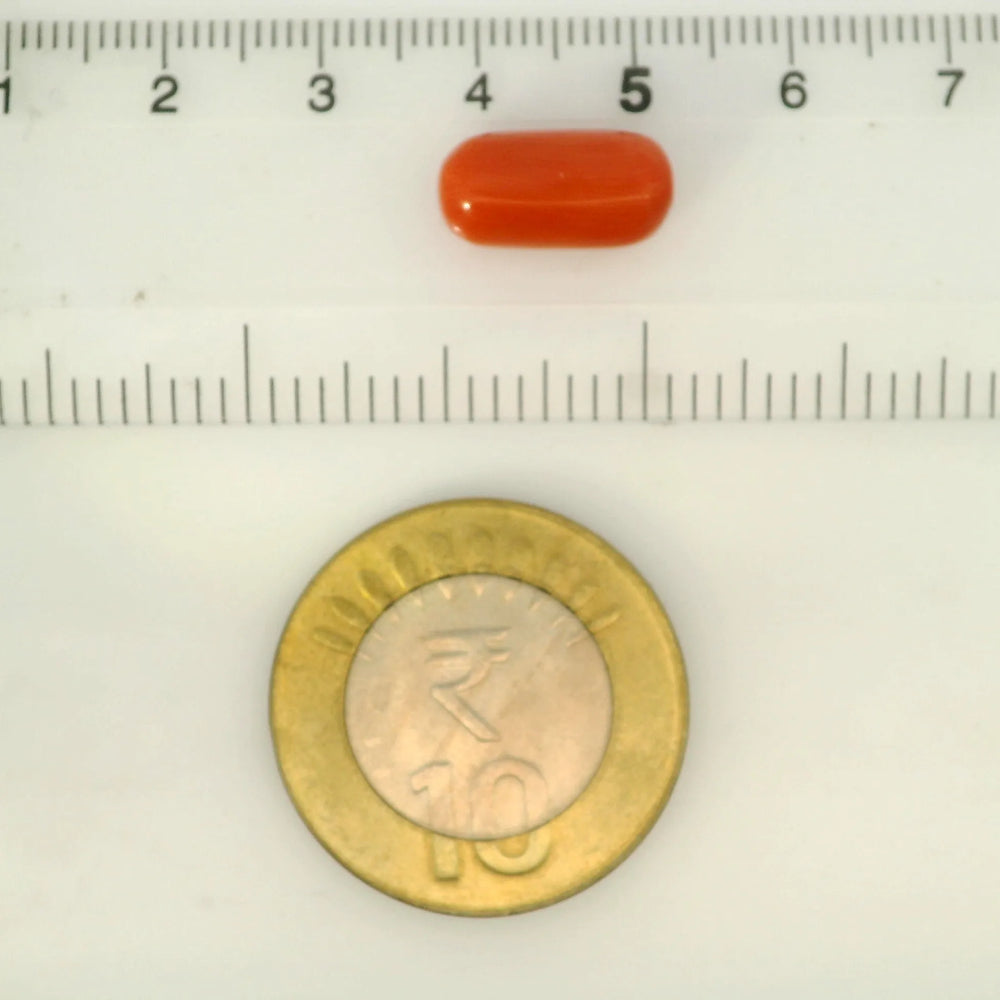 ITLGR_121357_SCALE.webp
