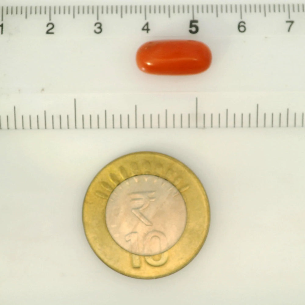 ITLGR_121358_SCALE.webp