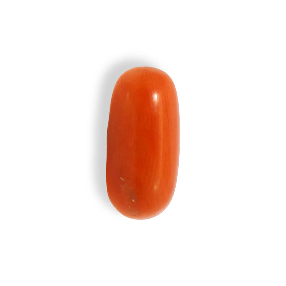 ITLGR_121358_TOP.webp